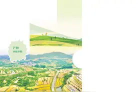 梅熟麦饭香 仲夏农事忙（二十四节气）图片