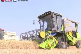 胶州市：小麦灭茬新式机械 助力秸秆全量还田图片