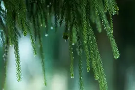 端午出游 | 仓山一日游，明天就安排！图片