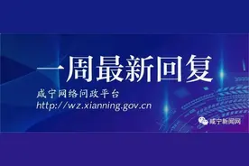 事关乡镇公交、高龄补贴、水改收费...咸宁有关部门最新回复图片