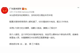 曝华为畅享50本月中旬发布 配麒麟芯和6000mAh大电池图片