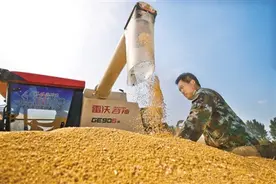 麦浪涌金话丰年——写在南阳市夏粮再迎丰收之际图片