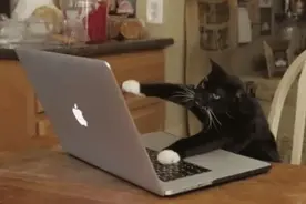 00后的网聊“黑话”火了，网友：我才没有暗中找科普......图片