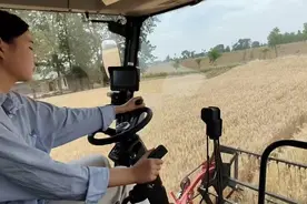 99年女孩开收割机做麦客：一周瘦了八斤，明年准备去更远的地方图片