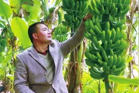 “大食物观”供应链上的“原阳元素”——“老家河南，吃在原阳”系列报道之五图片