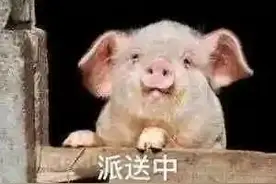 发往上海的快递去西藏绕了一圈？神秘的华东操作部？图片