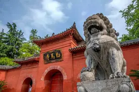 周知！洛阳白马寺恢复开放！这些事情要注意…图片