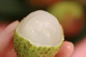 荔枝那么甜为什么会吃出低血糖？图片