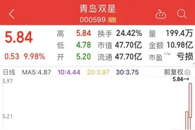 史上第8次，轮胎第一股连续“地天板”！锂电巨头深V反弹，煤炭双雄创新纪录，两大资金出手这些股图片