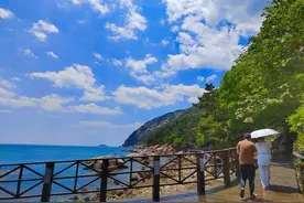 半岛叨叨丨20℃的青岛再次“出圈”！跨省游已恢复，这个夏天你确定不来转转？图片