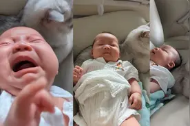 宝宝哭闹不止，家长把娃枕在猫咪背上竟秒入睡，猫咪的表情亮了图片