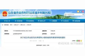 山东成立农业防汛抗旱领导小组和省级专家指导组图片