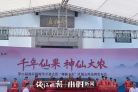 买“神仙大农”杨梅，送神仙居门票！仙居杨梅节今日开幕，助力梅农出大招图片