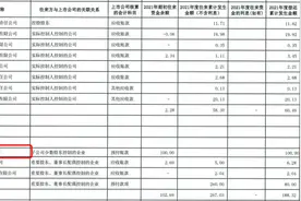 股价四涨停后又两跌停 黑芝麻做“自动驾驶”原来是闹了乌龙图片