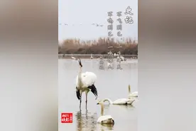 这些绝美的诗词箴言，送给高考后的你……图片