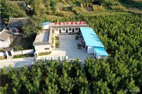 洛南：乡村振兴中的“核”力量图片