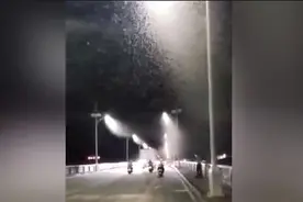 椰视频 | 澄迈金江大桥“飘雪”了？原来是大批白蚁在“找新房成家”图片