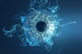 眼睛酸涩、视力模糊......中药护眼食疗吃出好眼力图片