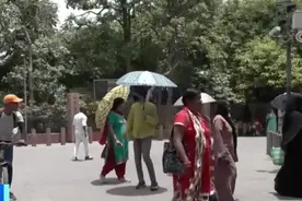 最高气温近50°C！印度遭遇前所未有的“热浪”，近100人死亡图片