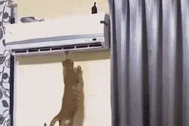 夏天空调温度最好别低于26℃图片