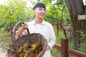 人才振兴 新农人成京郊农业高质量发展主推手图片
