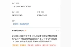 贾跃亭再被强制执行1.48亿元，6月才推出新款乐视手机图片