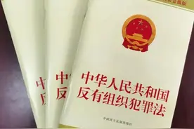 《反有组织犯罪法》解析（五）图片