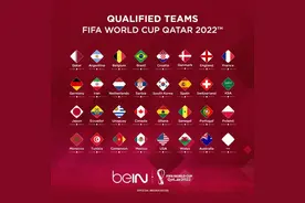 世界杯冠军赔率：巴西5.5领跑，英格兰第二，法国第三图片