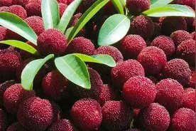 是真是假？网传“鲜杨梅暗藏小白虫”，视频竟然拍到了图片