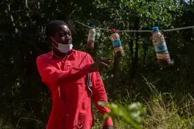 与大象共存——津巴布韦难以承受之重图片