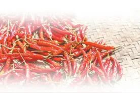 火红的辣椒，红火的日子（逐梦）图片