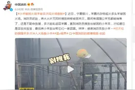 小羊被困火场，羊爸多次闯火场救娃 消防员：我来救你们图片