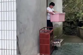 真实记录杭州乡村放映员的光影人生：三台放映机走过近四十年 露天电影“不打烊”图片