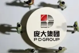 “卖子”求生，重整后的庞大集团仍深陷泥潭图片