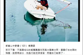 被禁止去活水湖游泳，龙应台感慨：台湾孩子何时可以自豪“我是海洋之子”图片