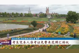 免票、半价图片