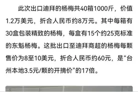 极目时评｜出口到迪拜身价不菲，杨梅为什么能扬眉吐气图片