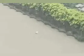 “当时来不及害怕”，又一个帅小伙救人出名了图片