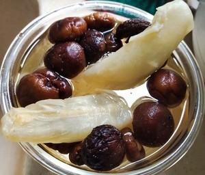 花胶海底椰煲瘦肉汤 2026年海底椰花胶瘦肉汤功效