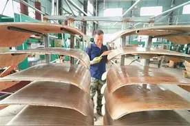 全国市场占比70%！世界市场占比50%以上！玉林这个产业牛图片