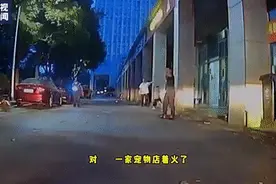 男孩凌晨救下30只宠物狗！店主：送一只图片