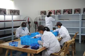 60元一颗，出口迪拜！有人蘸着酱油能炫一碗…图片