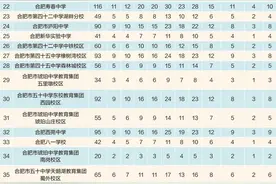 合肥市教育局发布指标到校详细解读图片