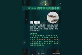 实用！被蚊子、隐翅虫、蜱虫咬了，就这样办图片