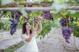 剑指天府旅游名县，四川彭山凭什么？图片