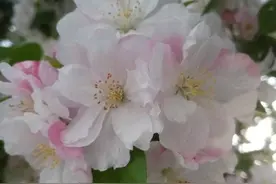 与父亲书｜父亲节感怀图片