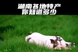 湖南好有味丨湖南有好饭，湖南有好味！湖南各地特产你知道多少？图片