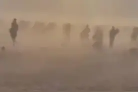 30秒｜法国西北部海岸遭遇罕见龙卷风，致1死5伤图片