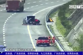 重庆：高速路倒车“捡猪” 司机被记12分视频封面