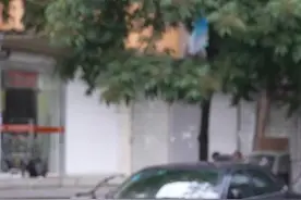 浙江全面取消二手车限迁政策 买二手车将更方便更省钱 换牌攻略看这里图片